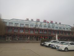 -东方巨龟苑景区