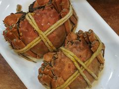 -西新饭店(城中店)