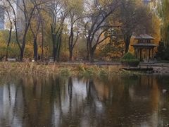 -玲珑塔公园