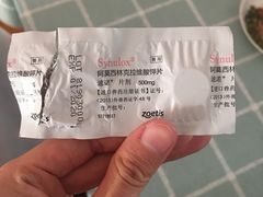 -宠福鑫动物医院(城北分院)