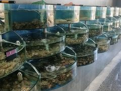 水产区-蓝珊甄选海鲜自助·火锅大排档(近阿那亚店)