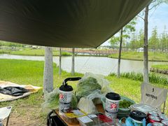 -春花秋色城市公园