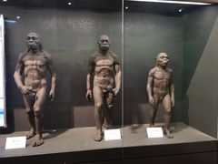 -北京周口店北京人遗址博物馆