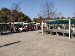 -上海海湾国家森林公园