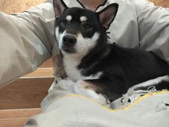 -和它·交个朋友·狗咖猫咖(爱琴海店)