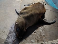 -成都浩海立方海洋公园