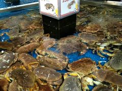 -盒马鲜生(莱蒙都会店)