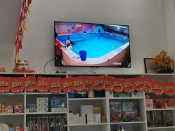 -马博士婴幼儿游泳馆(广安门旗舰店)