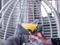 Birdy&nbsp;Passion-Oasis Bar & Grill