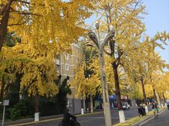 -四川大学(望江校区)