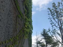 -青岛银沙滩温德姆至尊酒店