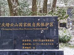 -缙云山景区
