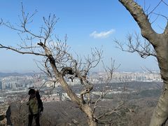 -紫金山山顶公园