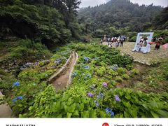 -鼓岭旅游度假区