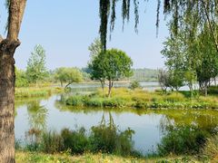 -东郊湿地公园