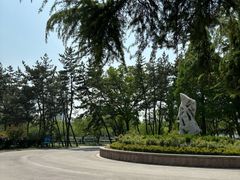 -莱西月湖公园