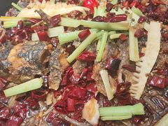 -老板恋上鱼(印象城店)