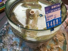 -强记海鲜·大排档(蛇口新街店)
