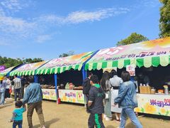 -上海长兴岛郊野公园