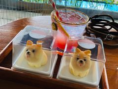 -柴犬高等学院·狗咖·柴犬售卖·宠物训练