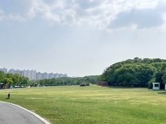 -昆山城市生态森林公园