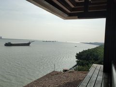 -大湾区中央湿地公园