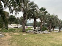 -渤公岛生态公园
