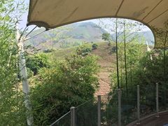 -帐篷客·溪龙茶谷度假酒店