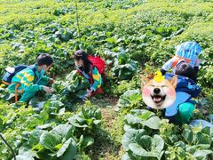 -广州市流溪河国家森林公园