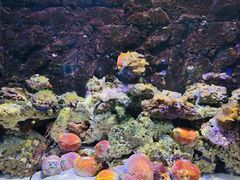 -石林冰雪海洋世界