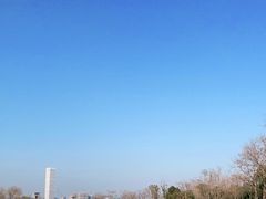 -上海山野camping·户外天幕烧烤·团建拓展营地