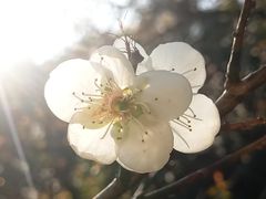 -桃花涧