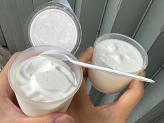 -洪馨椰子