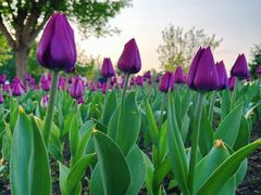 -长春公园(普阳街道)