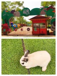 -萌宠亲子动物乐园(槐房万达店)