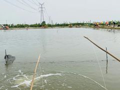 -梁鸿国家湿地公园