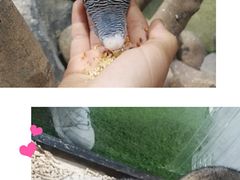-胡里山炮台