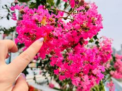 -苏州河梦清园环保主题公园