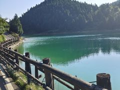 -武陵山森林公园