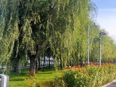 -长春公园(普阳街道)