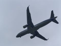 -空港花田景区