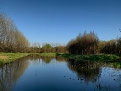 -溱湖国家湿地公园