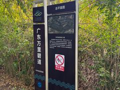 -华侨城湿地公园