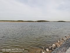 -南大港湿地风景区