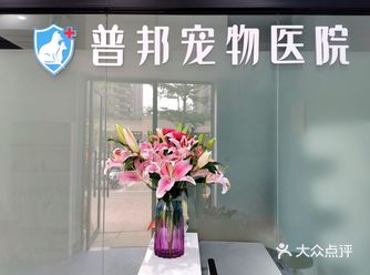 从决定自己开宠物医院到找店铺，签约，装修，如今的试营