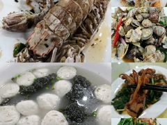 -广东惠东海龟国家级自然保护区