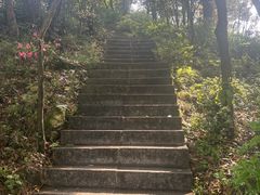 -梧桐山风景名胜区