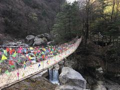 -青峰峡国家森林公园