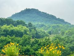 -南京市江宁方山