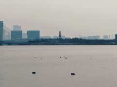 -郑东新区龙湖公共艺术中心